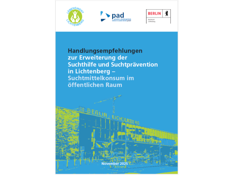 Handlungsempfehlungen zur Erweiterung der Suchthilfe und Suchtprävention in Lichtenberg (Stand 2025)