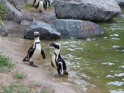 Tierpatenschaften Tierpark