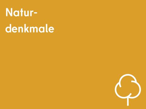 Naturdenkmale