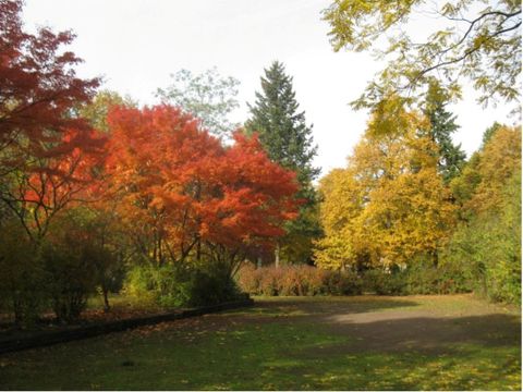 Der Rheinsteinpark