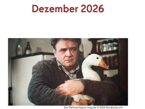 Programm Dezember 2026