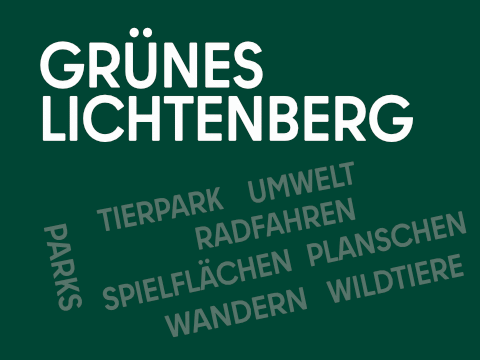 Teaser grünes Lichtenberg 480x360