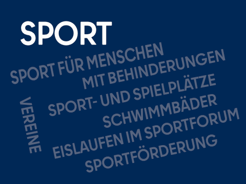 Teaser Sport 480x360