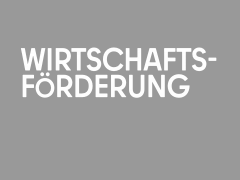 Teaser Wirtschaftsförderung