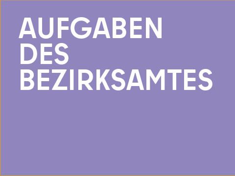 Grafik Aufgaben des BA 480x360.jpg