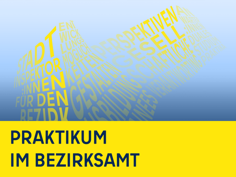 Grafik mit Schriftzug Praktikum im Bezirksamt