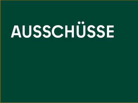 Grafik Ausschüsse 480x360