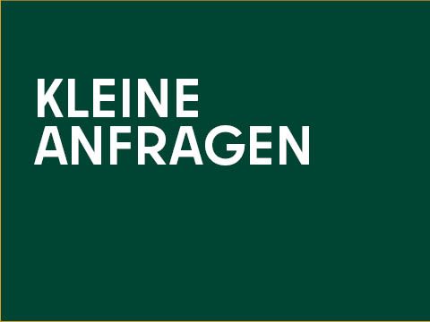 Grafik Kleine Anfragen 480x360