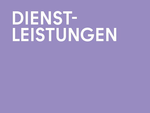 Grafik Dienstleistungen 480x360