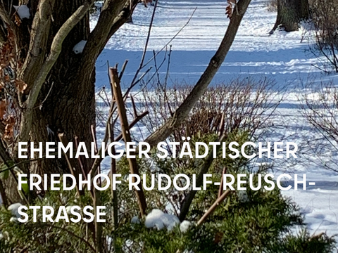 Schnee und Baum auf dem Ehemaligen Städtischen Friedhof Rudolf-Reusch-Straße