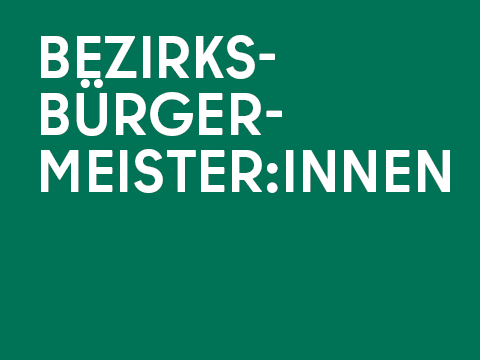 Grafik BzBminnen 480x360