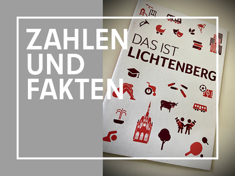 Grafik Zahlen und Fakten