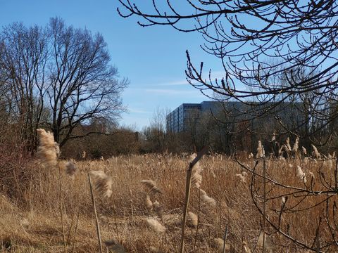 Wartenberger/Falkenberger Luch - Wiese mit Haus im Hintergrund