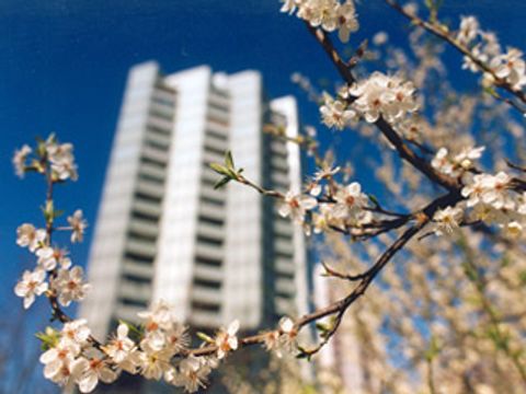 Frühling in Hohenschönhausen