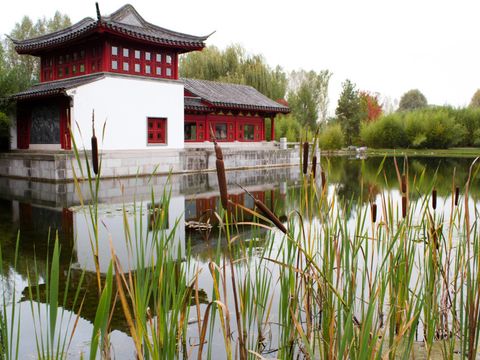 Gärten der Welt - Chinesischer Garten - außen - Steinboot im Wasser - Vordergrund Schilf
