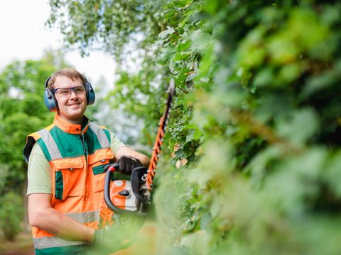Junger Gärtner schneidet eine Hecke