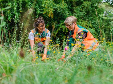 Gärtnerinnen bepflanzen eine Wiese