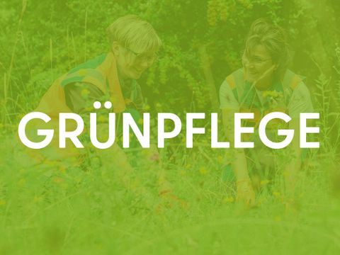 Verlinkung Grünflächenpflege-Jobs in Marzahn-Hellersdorf