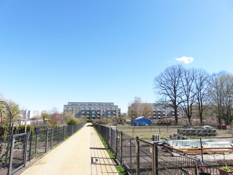 Neue Parzellen in der Kleingartenanlage