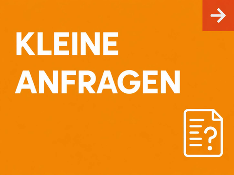 Kachel Kleine Anfragen