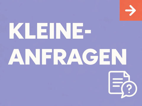 Kleine Anfragen