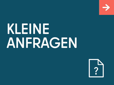 Kleine Anfragen