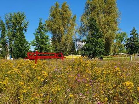 Die Rote Bank am neuen Standort am Wiesenmeer