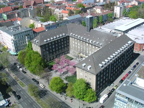 Rathaus Tiergarten Vogelperspektive mit Blüte