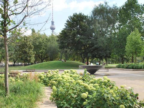 Monbijoupark (Bild: Bezirksamt Mitte)