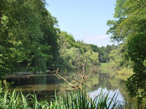 Volkspark Rehberge (Bild: Bezirksamt Mitte)