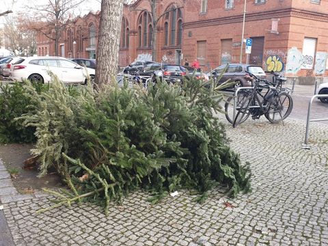 Die BSR holt ausgediente Weihnachtsbäume ab.