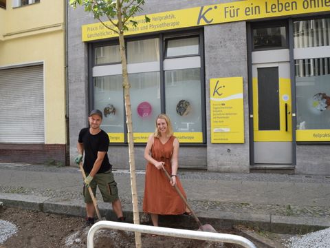 Bezirksstadträtin Dr. Almut Neumann und Enrico Finke vom Straßen- und Grünflächenamt pflanzen in der Thomasiusstraße einen Ahorn in einer vergrößerten Baumscheibe