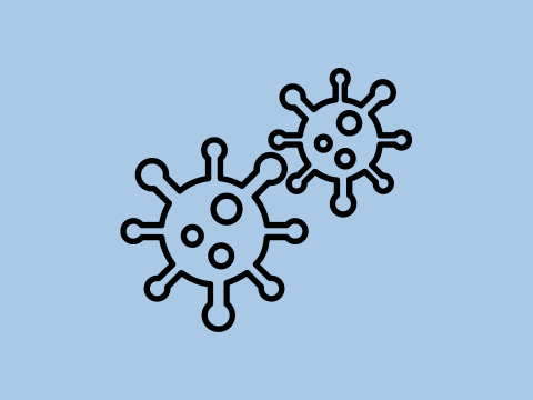 Imperia-Bild-querformat - corona