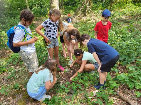 Kinder untersuchen den Waldboden