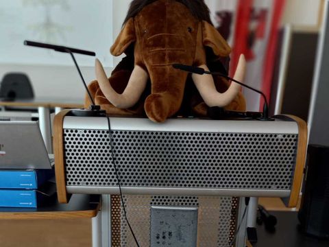 Mammut