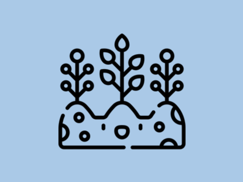 Icon für Entsiegelung