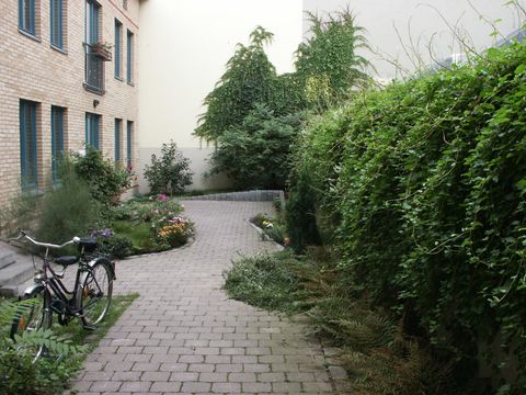 Umsetzung des BFF