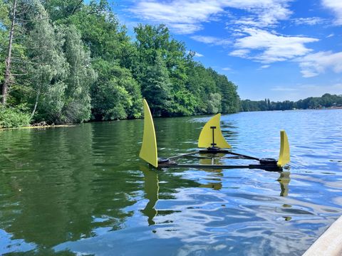 Haiflossen Installation zur Kampagne Haialarm am Plötzensee