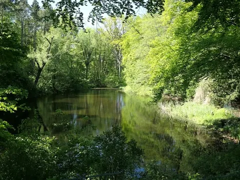 Sperlinsee