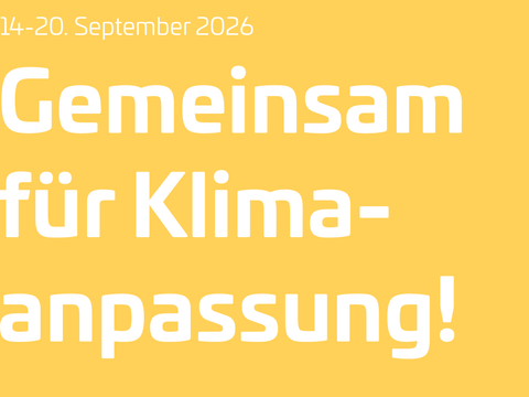 Ecke Poster WdKA 26 - 1