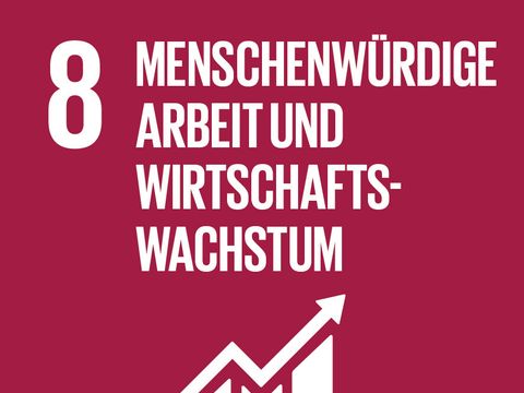 SSDG 8 - Menschenwürdige Arbeit und Wirtschaftswachstum