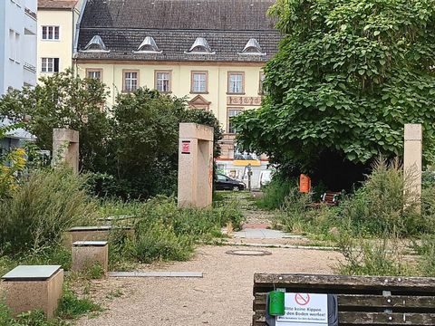 Verwildertes Beet mit Steinstelen auf dem Fordoner Platz im August 2026, vor der Pflanzaktion