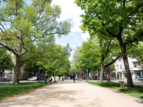 Schillerpromenade mit Bäumen und Spaziergänger*innen
