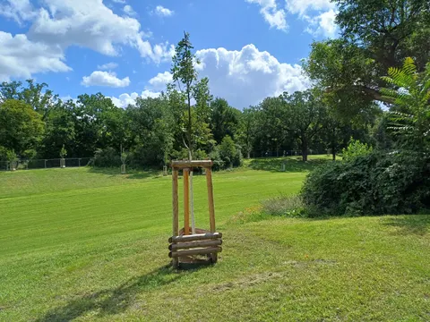 Tächlchenwiese Hasenheide