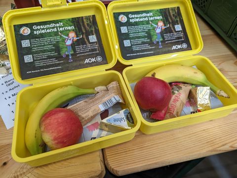 Zwei Bio-Brotboxen mit Inhalt (Bild: Bezirksamt Neukölln von Berlin)