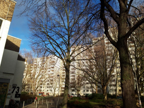Startbild Camino Studie