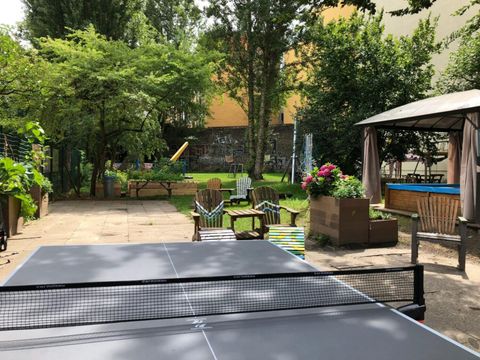 Wilde Rübe