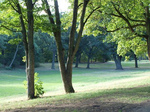 Volkspark Hasenheide in Neukölln