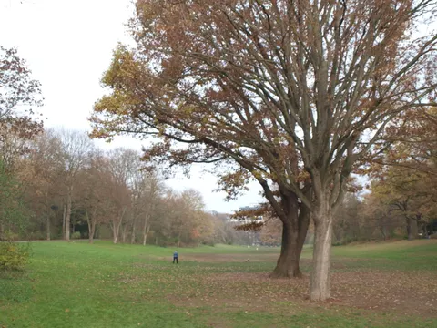 Volkspark Hasenheide in Neukölln - Blick über Wiese