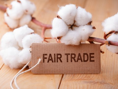 Fair gehandelte Baumwolle